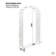 ВИНОГРАДНАЯ АРКА